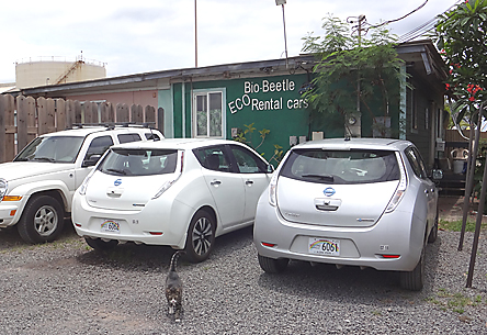 ethical business rental car office on Maui